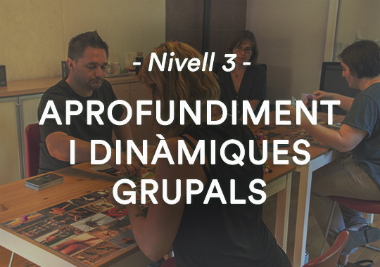 Nivell 3: Aprofundiment i dinàmiques grupals 